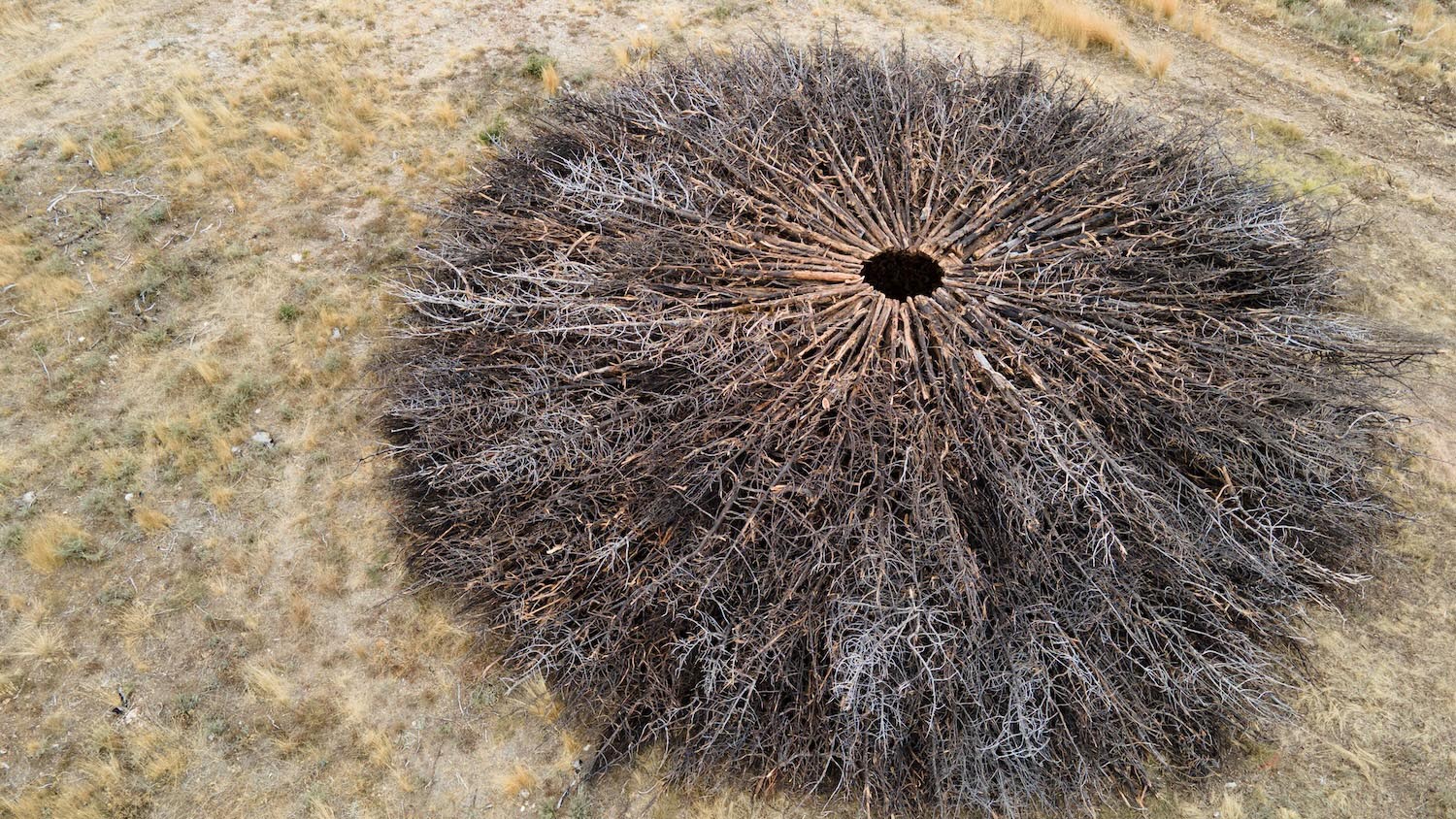 Socarrado, Nomad Studio, incendios forestales, Burgos, Parque Natural Sabinares de Arlanza – La Yecla