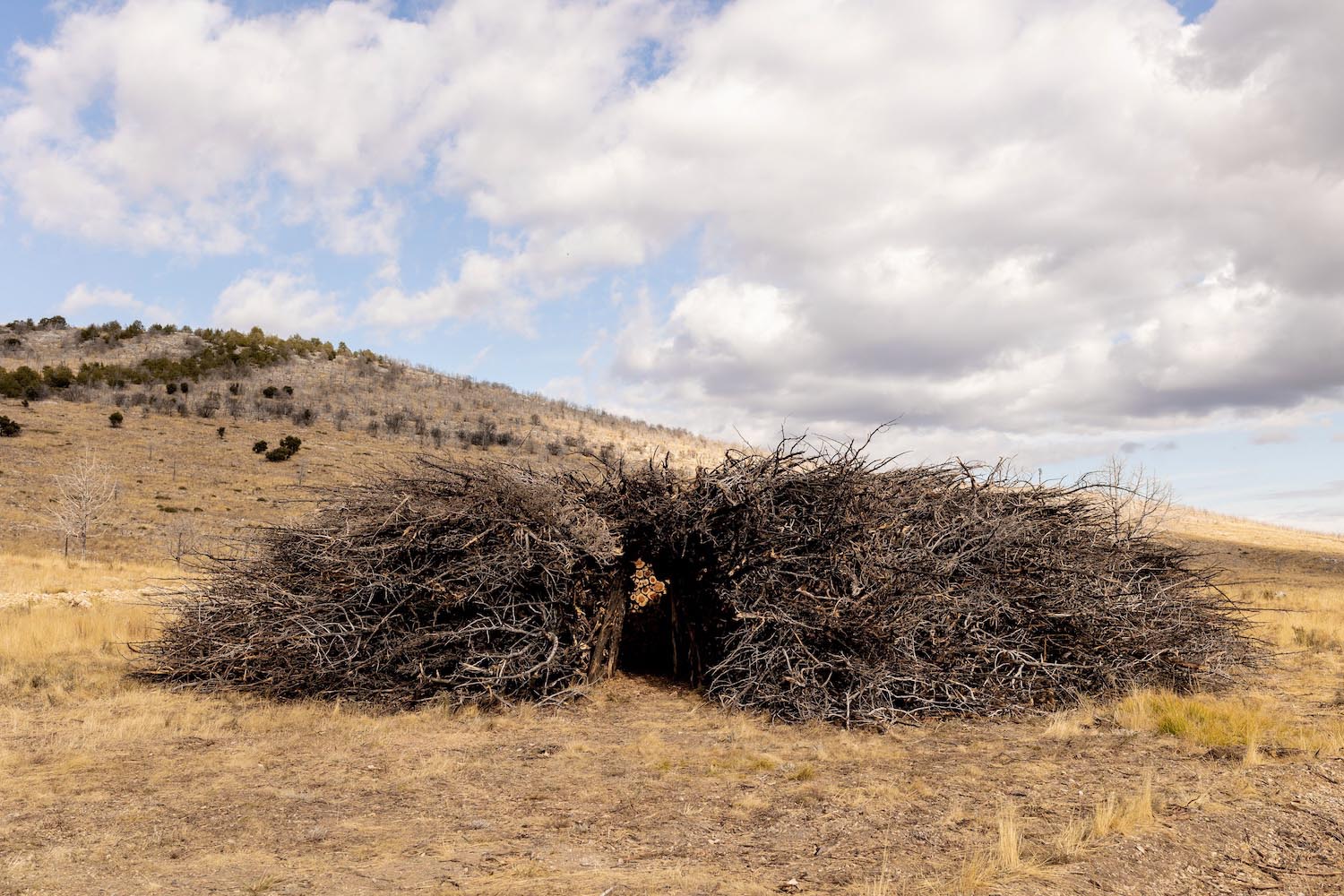 Socarrado, Nomad Studio, incendios forestales, Burgos, Parque Natural Sabinares de Arlanza – La Yecla