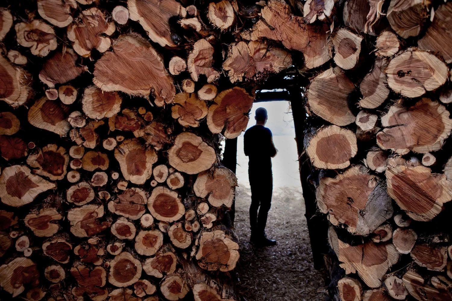 Socarrado, Nomad Studio, incendios forestales, Burgos, Parque Natural Sabinares de Arlanza – La Yecla