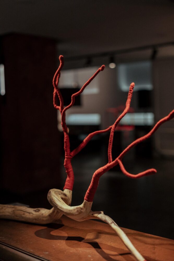 João Bruno, lana, hotel 7 islas