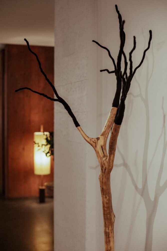 João Bruno, lana, hotel 7 islas