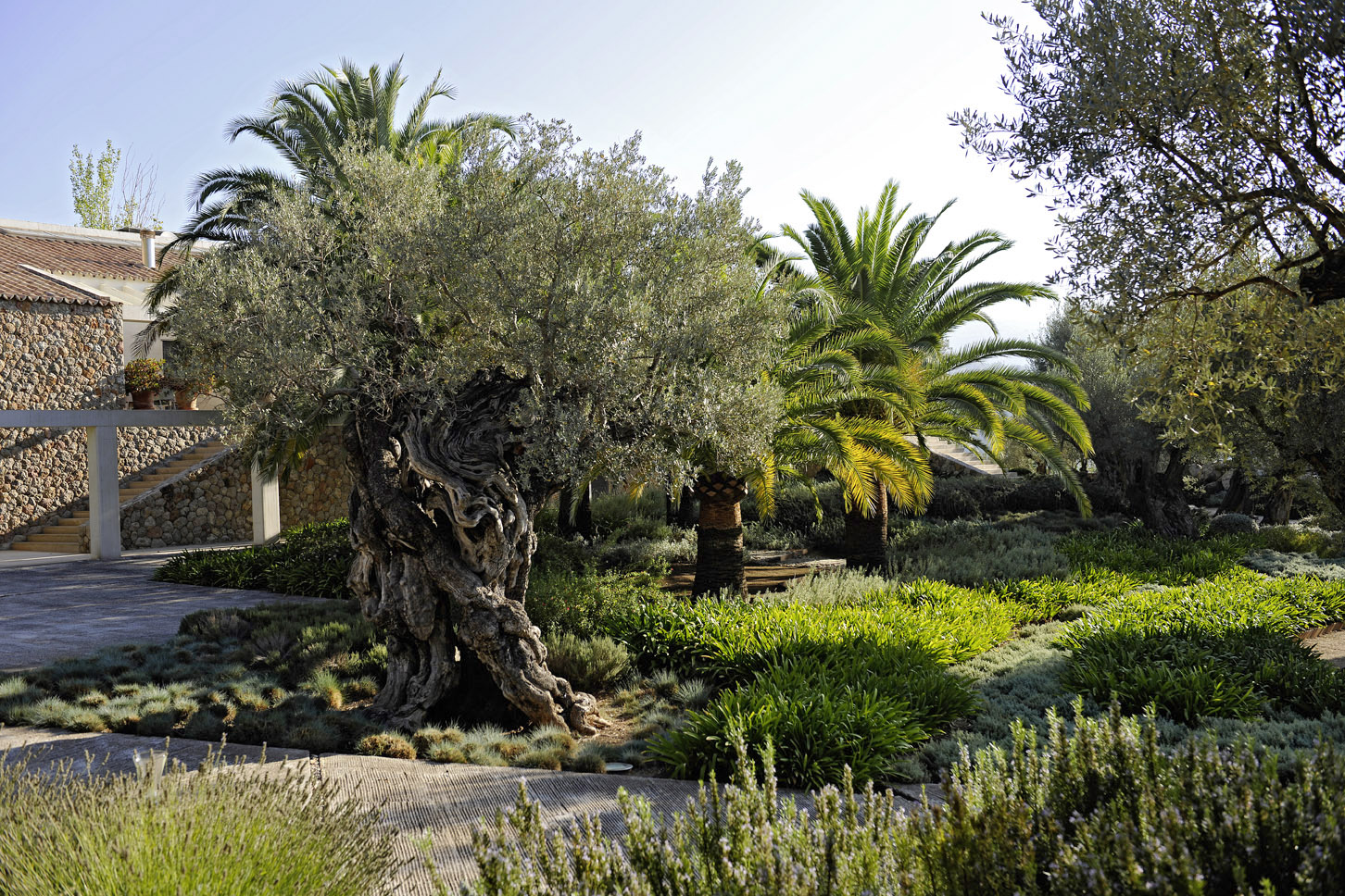 Jardins Tramuntana