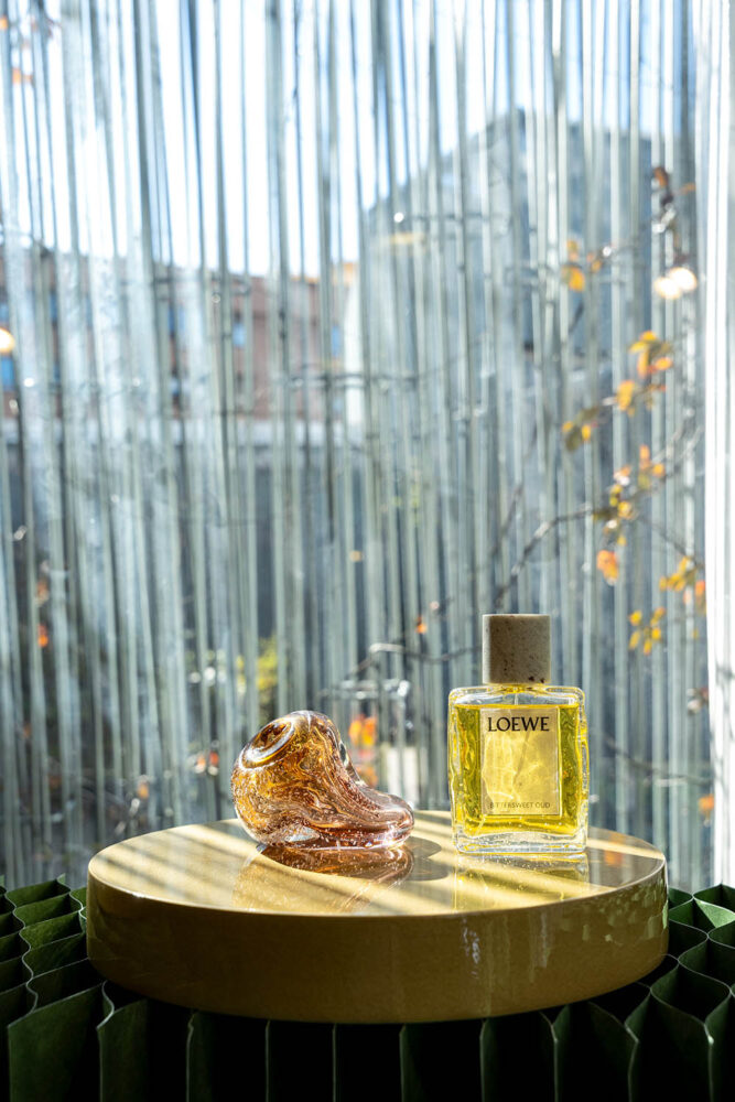 Crafted Garden. LOEWE Perfumes + Molo Design. Fiesta Design. Madrid Design Festival 2026