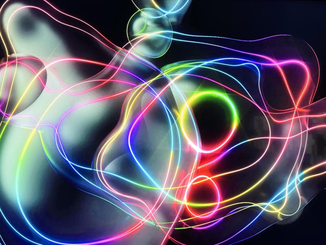 P61 Gallery, arte digital