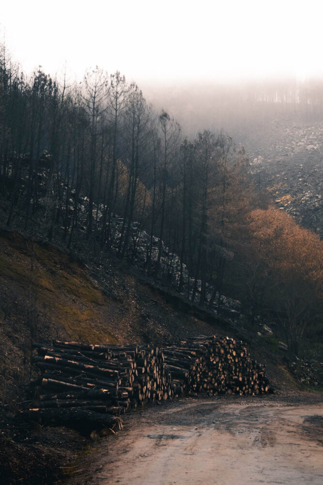 Incendios forestales en Galicia