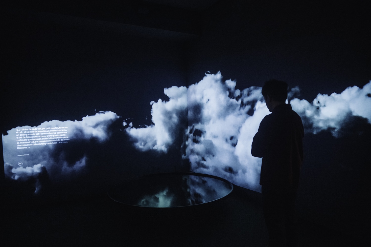 Mercè Rodoreda, CCCB