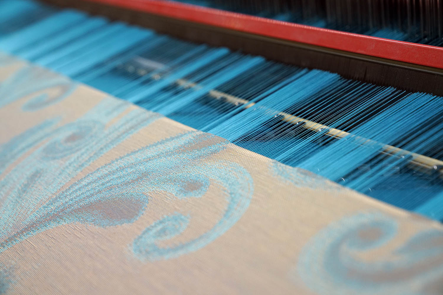 Proposte. Foto: © Martinelli Ginetto