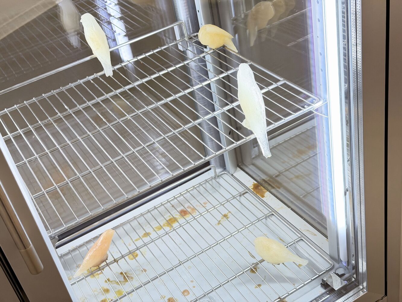 Generación, La Casa Encendida