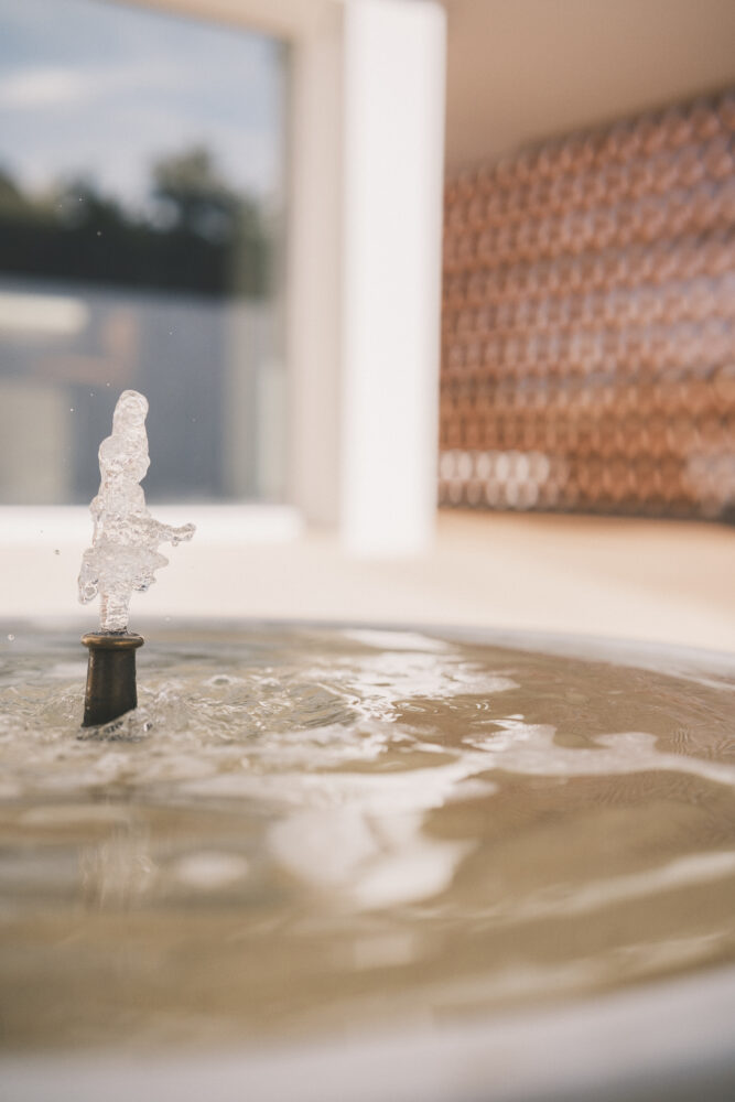 El agua actúa como hilo conductor sensorial y acompaña el recorrido de la casa.