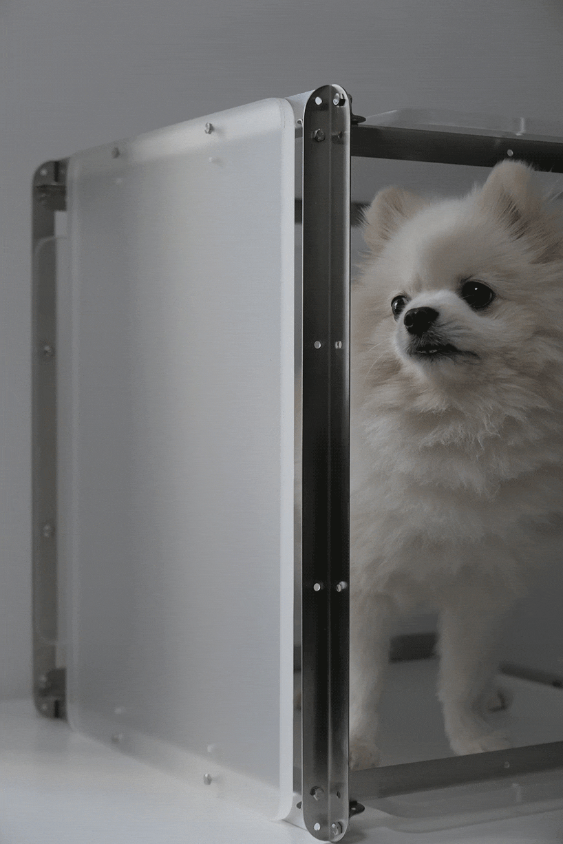 Abriéndose a otras formas de vida, ofrece lugares de descanso y hábitats tanto para animales como para plantas © JXY工作室