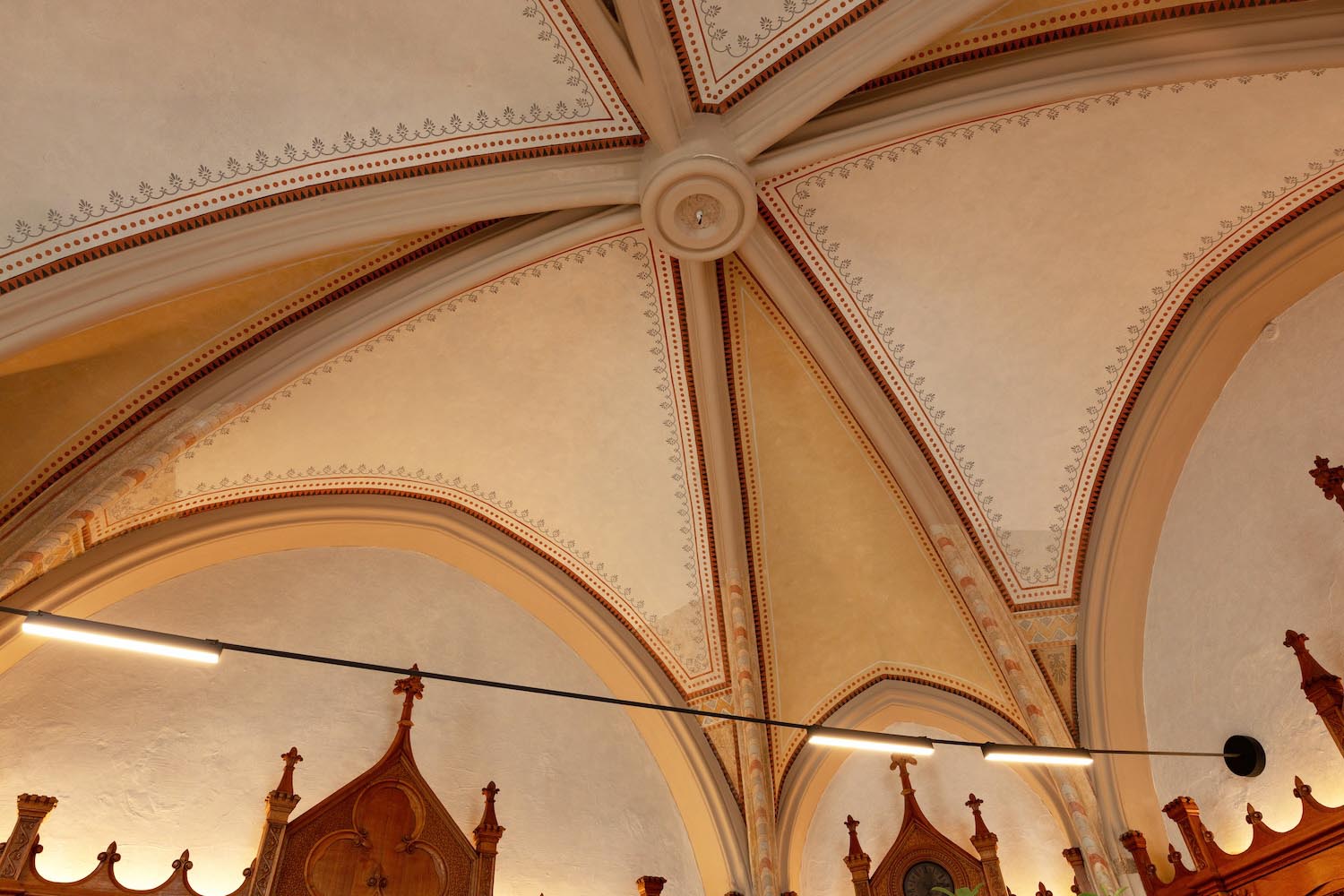 café de especialdiad, botica, laboratorium