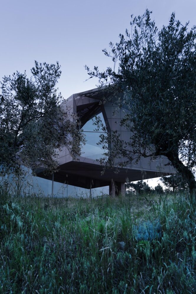 árbol, casa en la Toscana