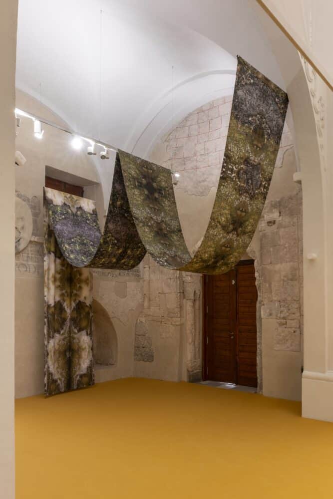 arte contemporáneo, Collegium