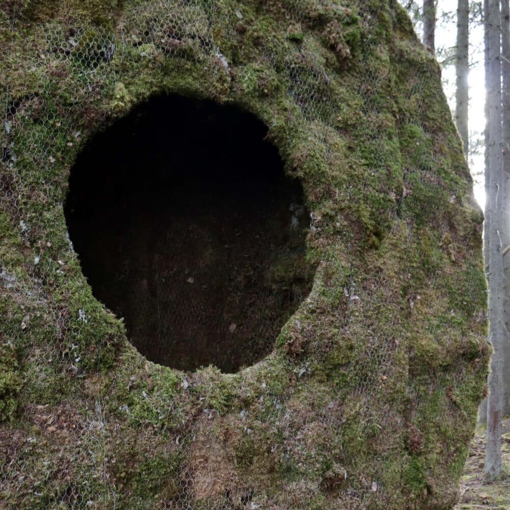 8_moss_hut_close_up