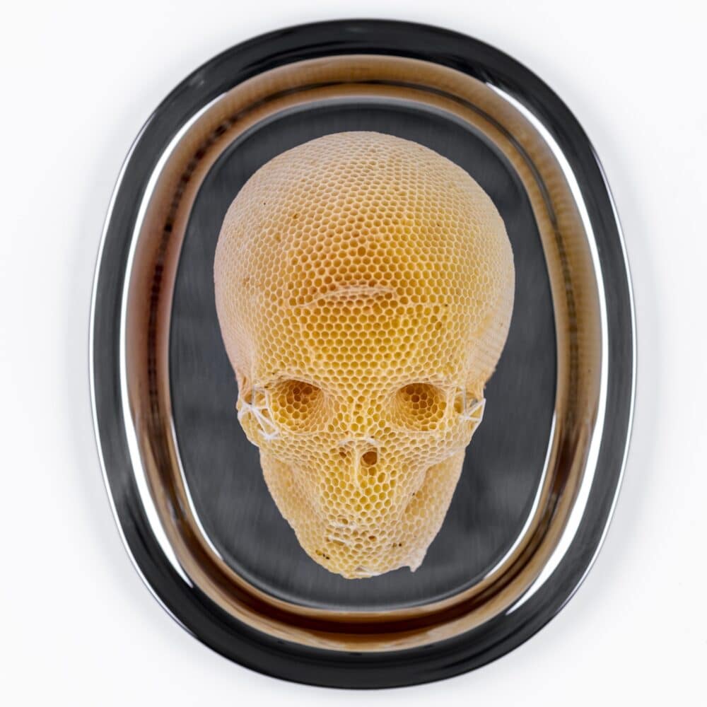 Memento Vivere - Feed Your Head 1