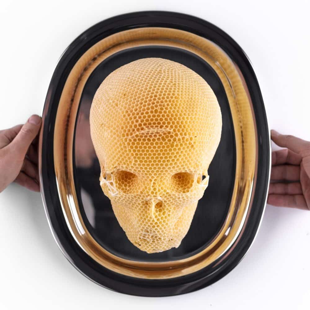 Memento Vivere - Feed Your Head 17