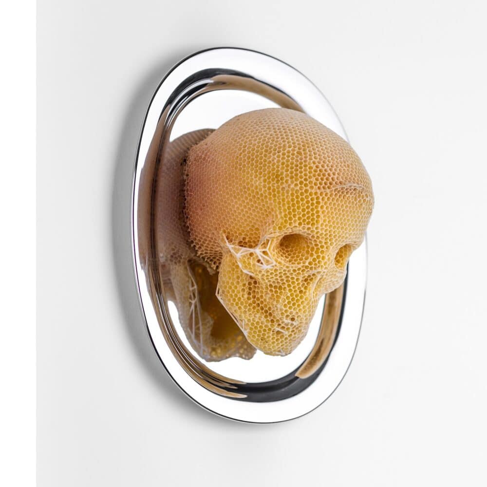Memento Vivere - Feed Your Head 3 IG