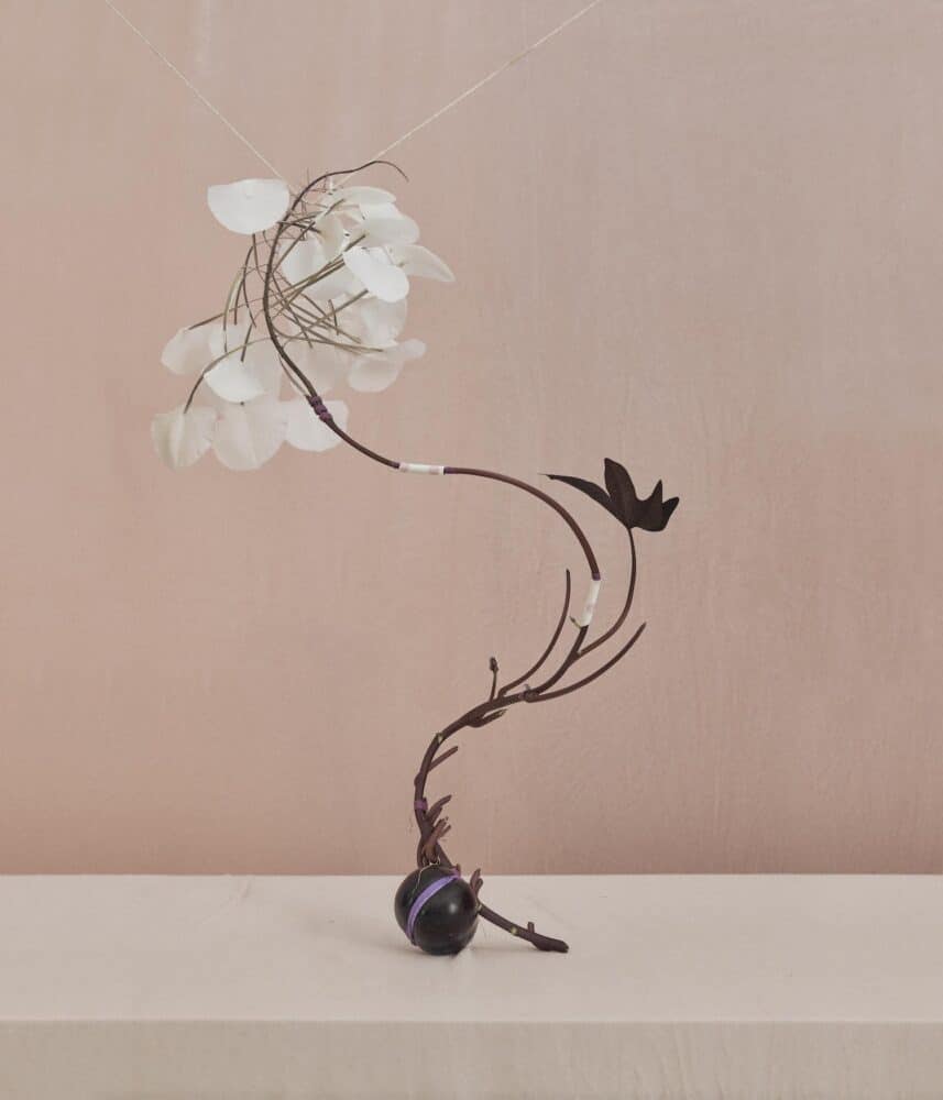bodegón, naturaleza muerta, Dominik Tarabanski