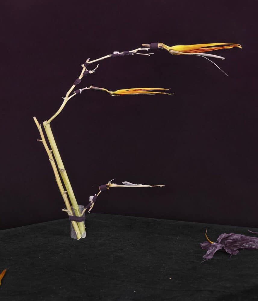 bodegón, naturaleza muerta, Dominik Tarabanski