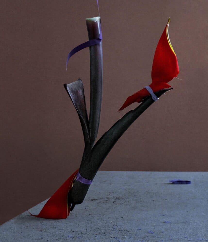 bodegón, naturaleza muerta, Dominik Tarabanski