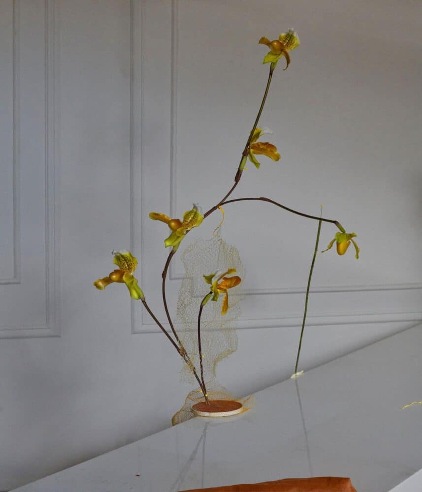 bodegón, naturaleza muerta, Dominik Tarabanski