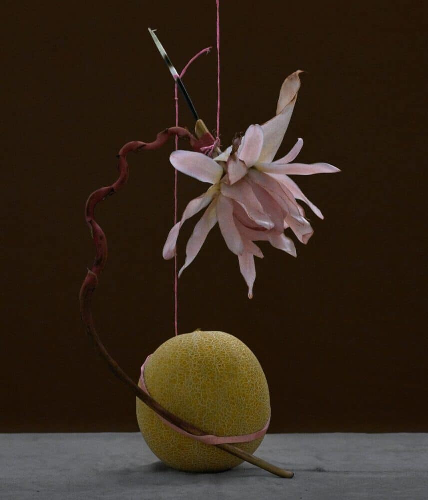 bodegón, naturaleza muerta, Dominik Tarabanski