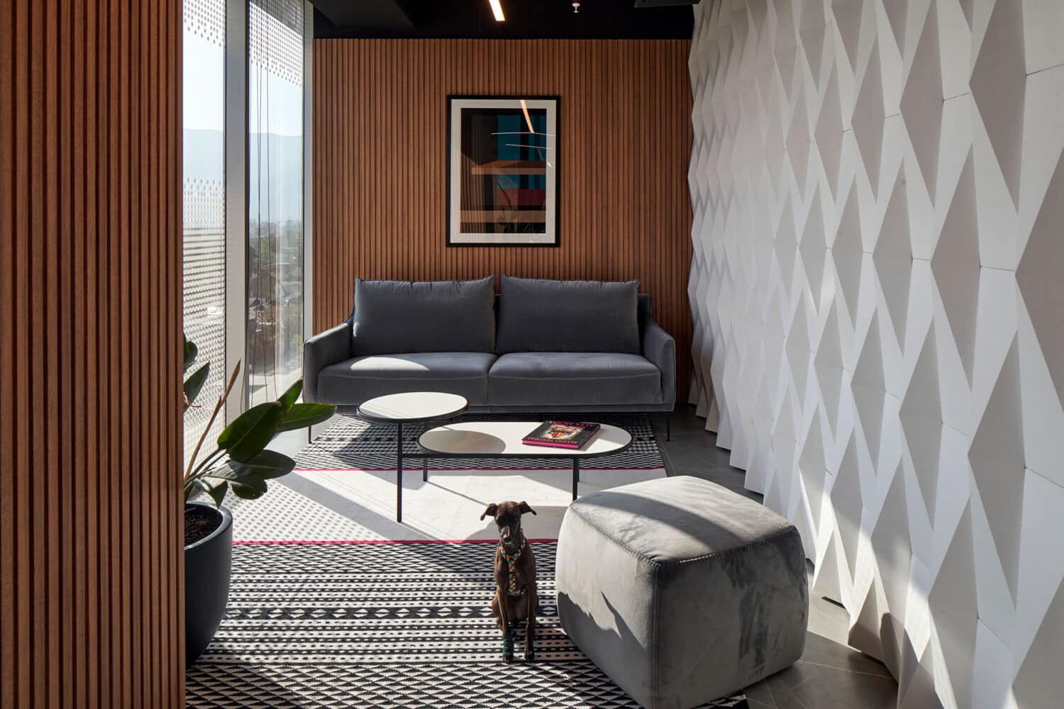 Diseño de oficina ejecutiva para Family Office con mobiliario contemporáneo