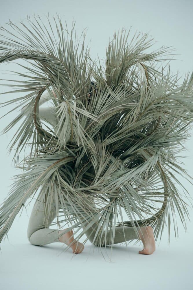 Flowers by Bornay. Nominado Premio Arte. Premios ROOM 2026
