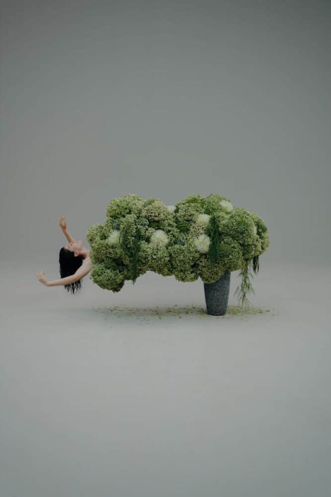 Flowers by Bornay. Nominado Premio Arte. Premios ROOM 2026