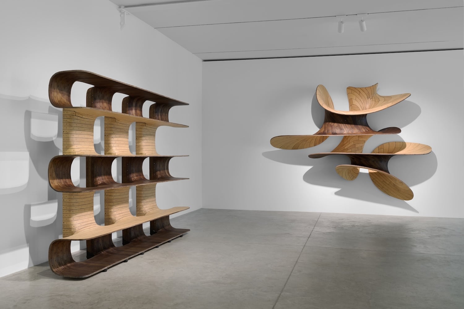 Joris Laarman, Friedman Benda
