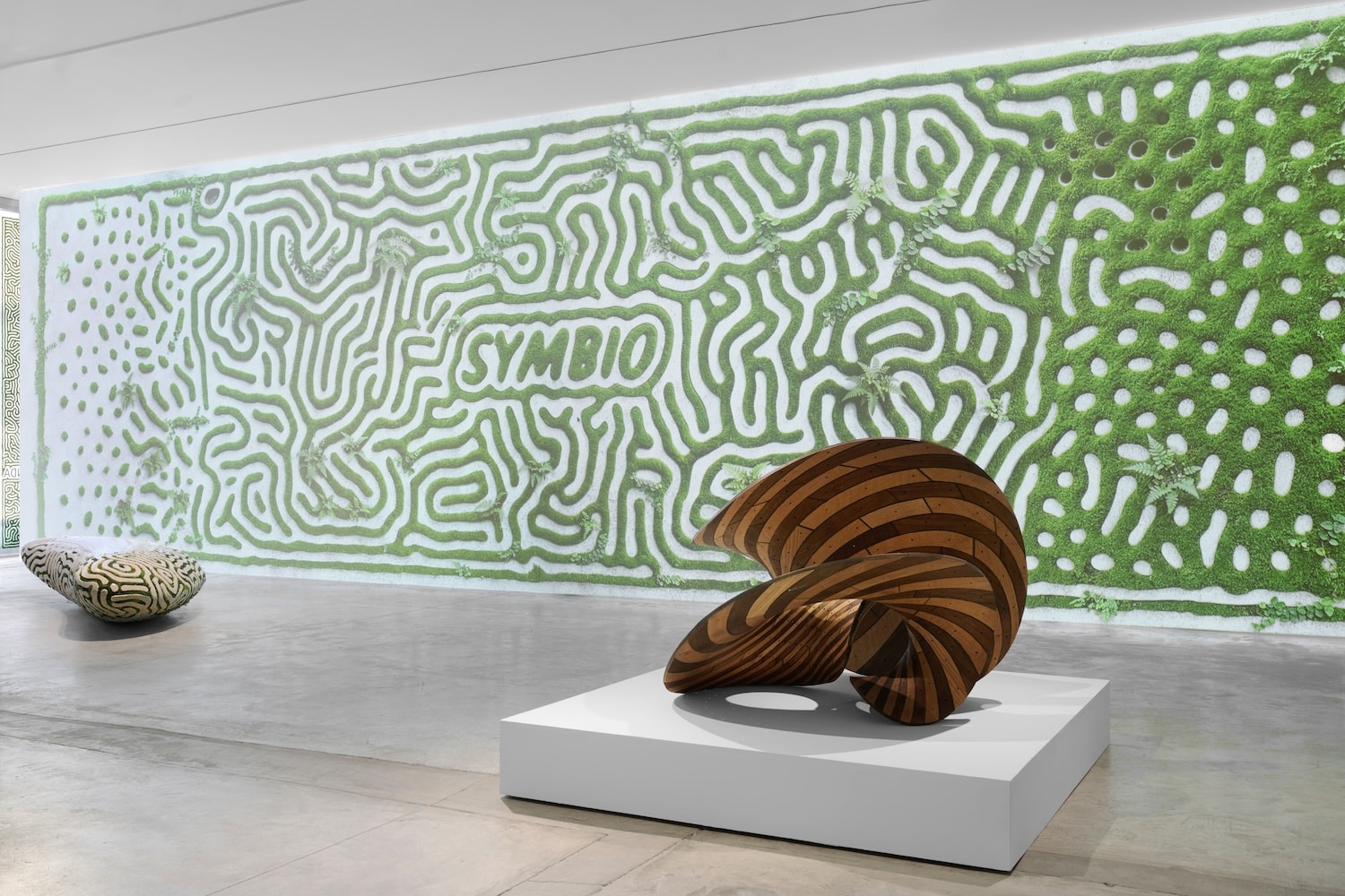 Joris Laarman, Friedman Benda
