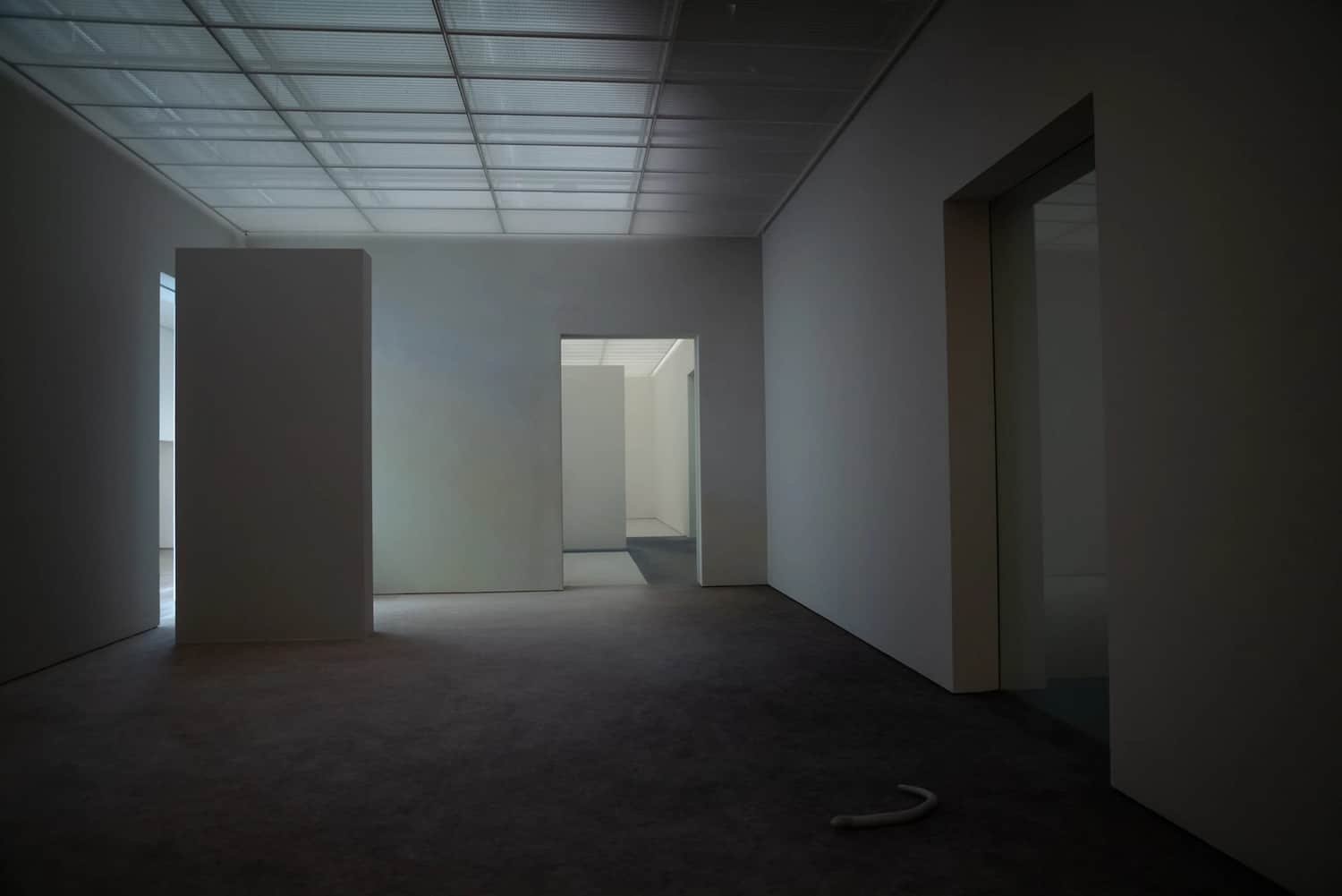 Fondation Beyeler, Pierre Huyghe