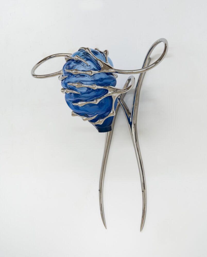 Blue Blooded, cangrejo herradura, Hannah Levy