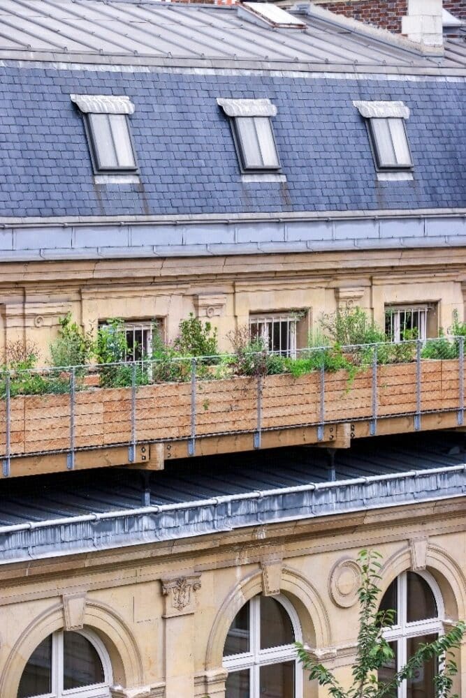 París, Roofscapes