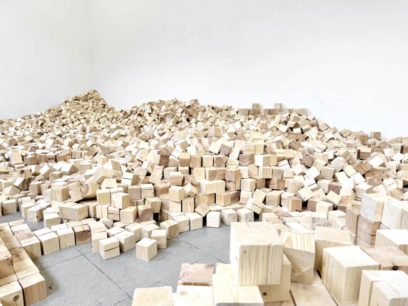 hamburger bahnhof berlin, Lina Lapelytė