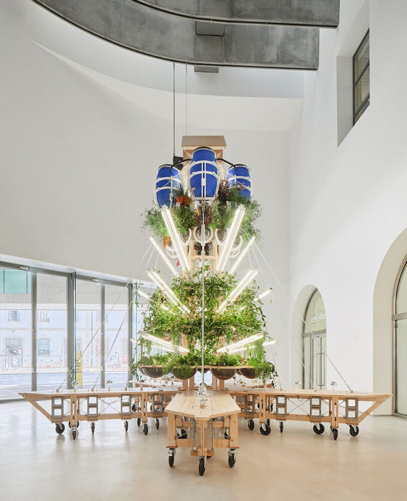 TAKK, MAXXI, Roma