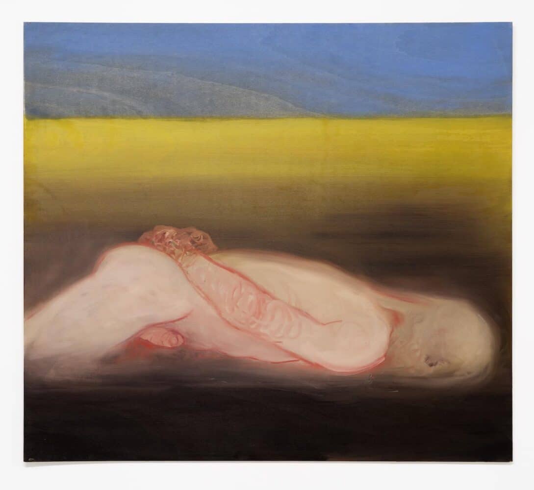 MACRO, Miriam Cahn