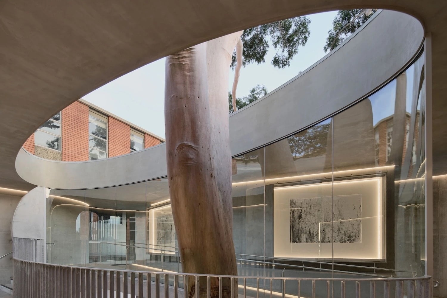 hormigón, genius loci, gallery fo a tree