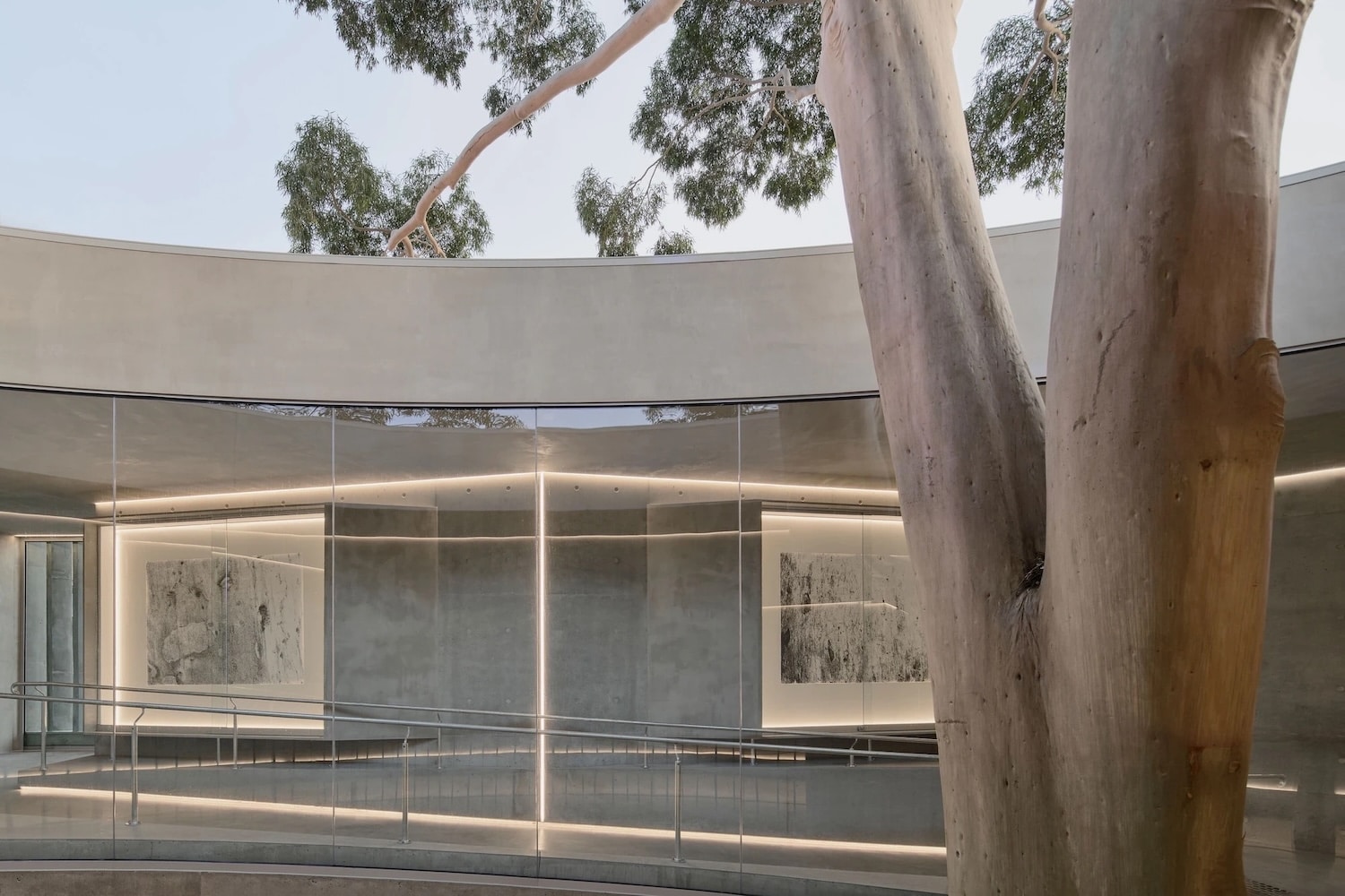 hormigón, genius loci, gallery fo a tree