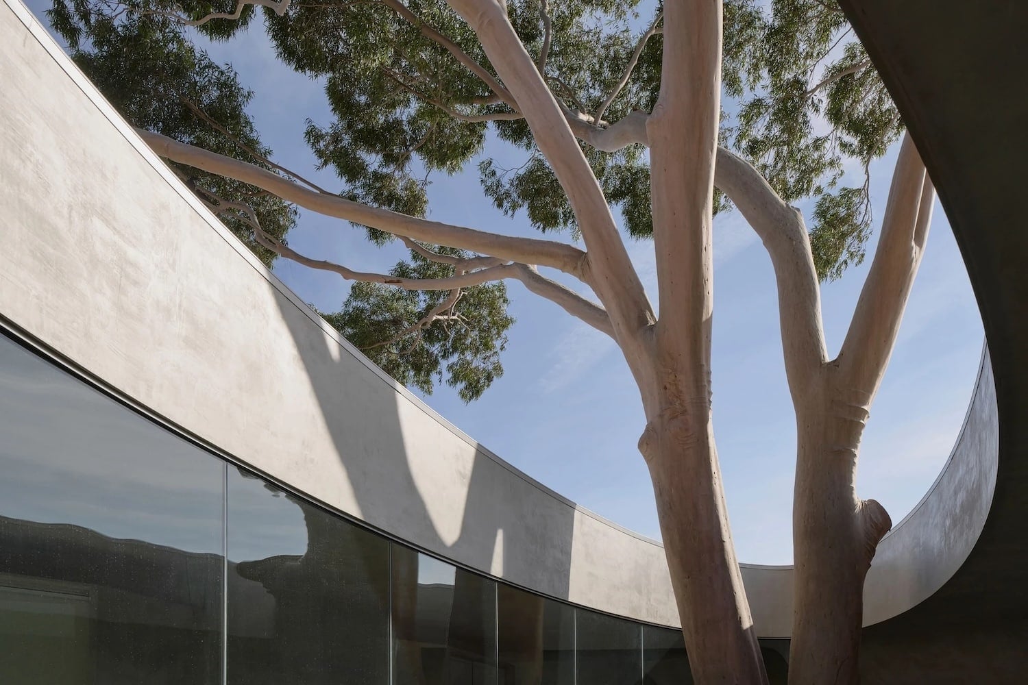 hormigón, genius loci, gallery fo a tree