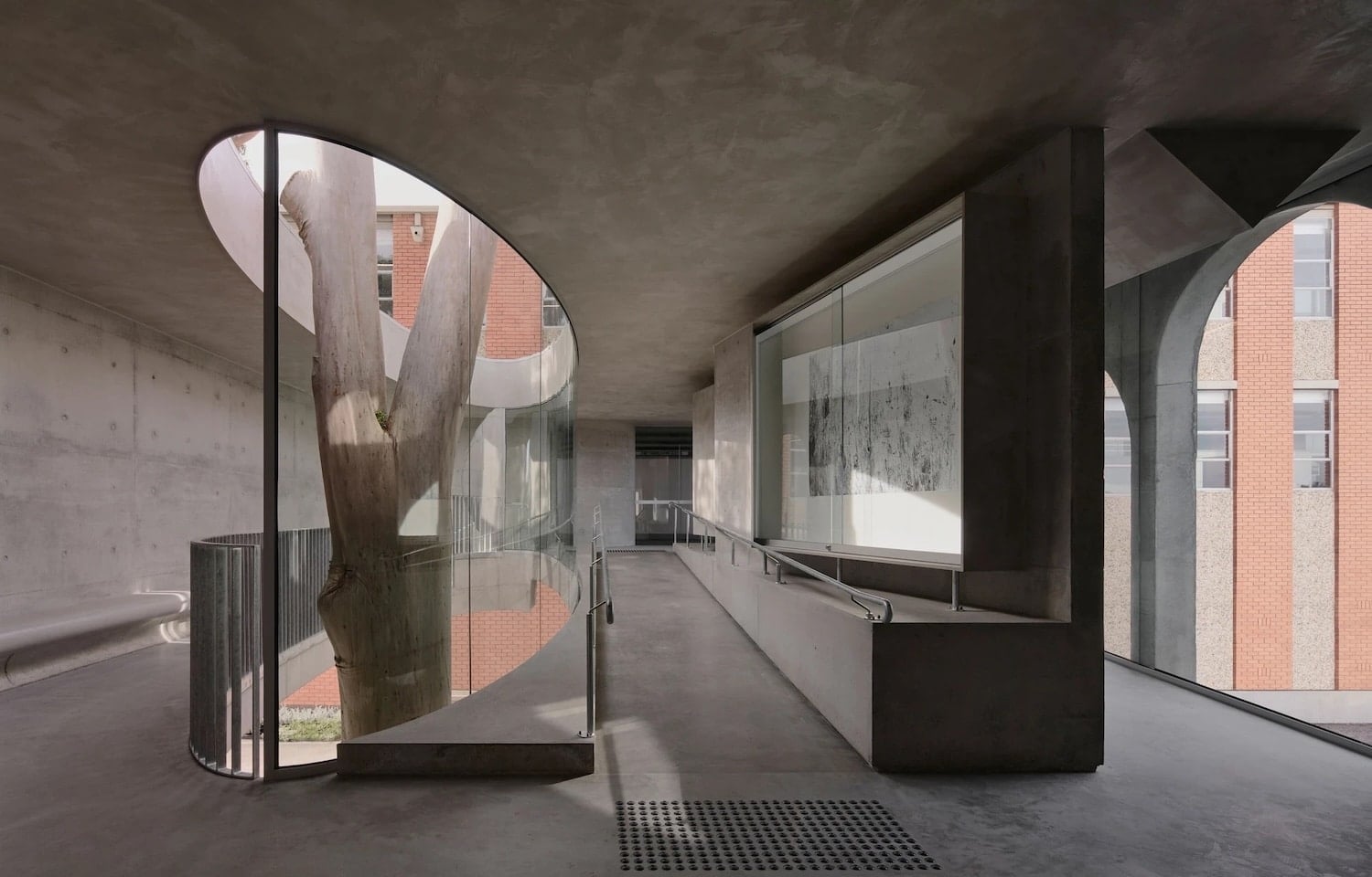 hormigón, genius loci, gallery fo a tree
