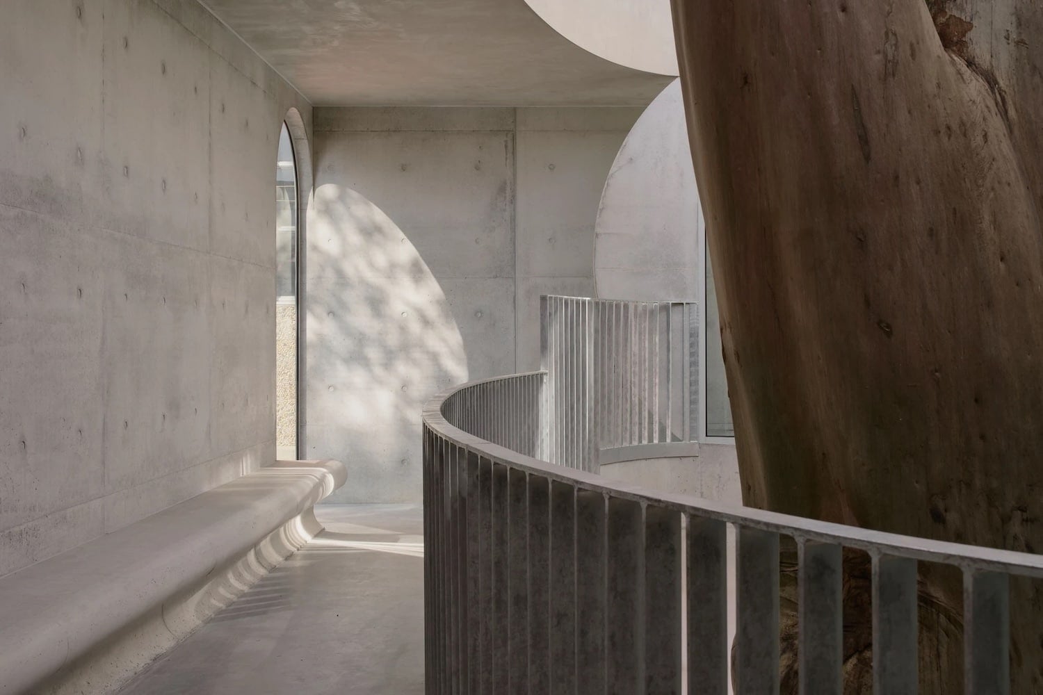 hormigón, genius loci, gallery fo a tree
