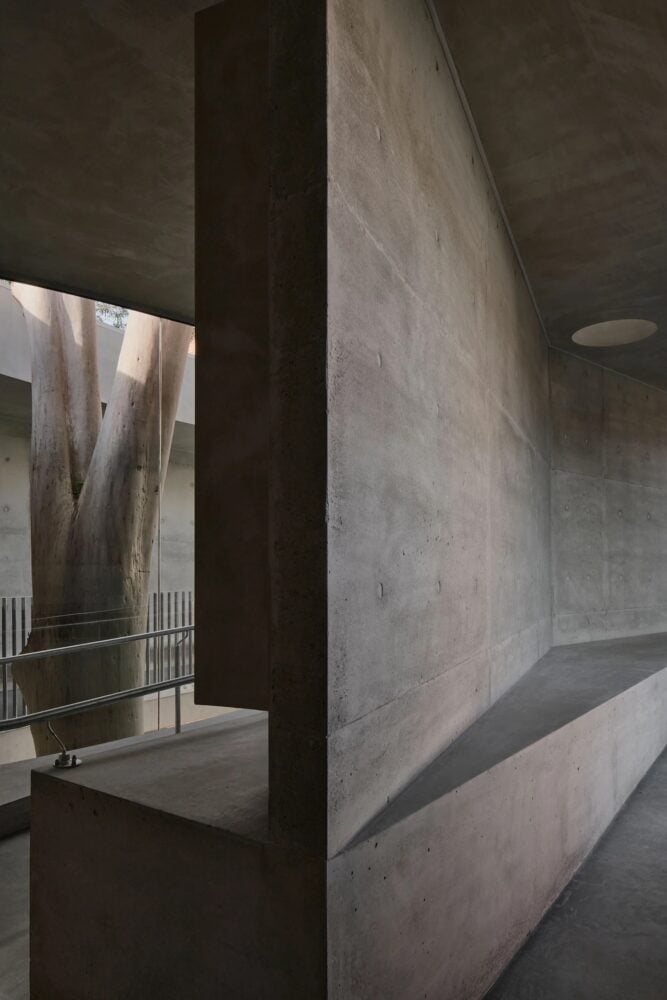 hormigón, genius loci, gallery fo a tree