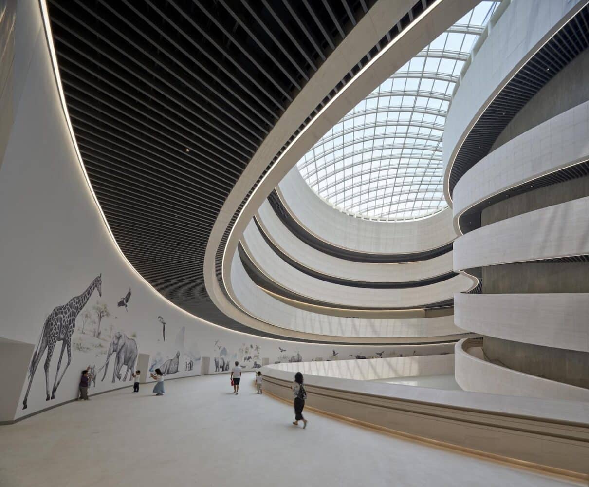 Museo de Historia Natural, Shenzhen