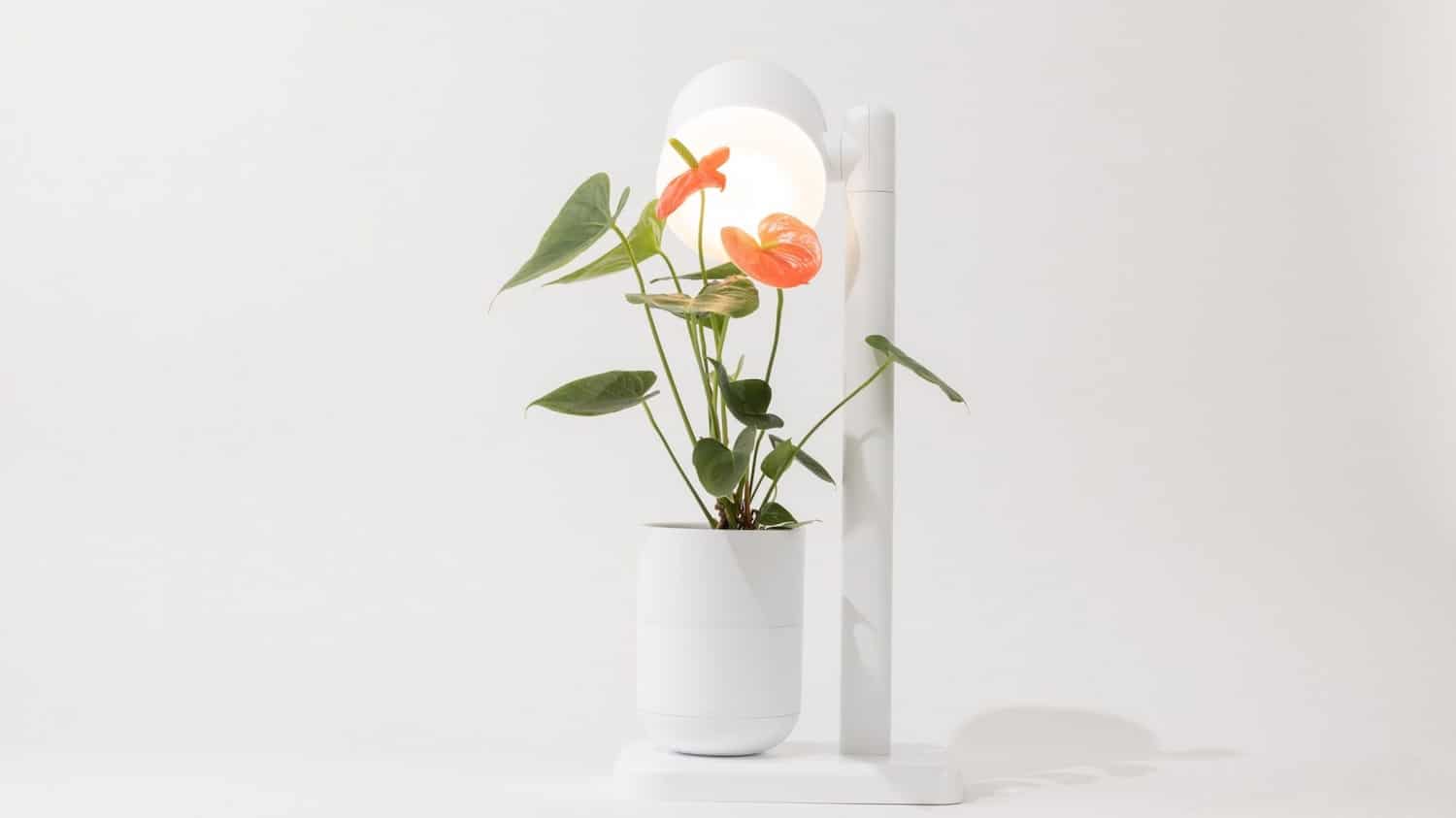 Studio NRG, diseño emergente, Los Ángeles