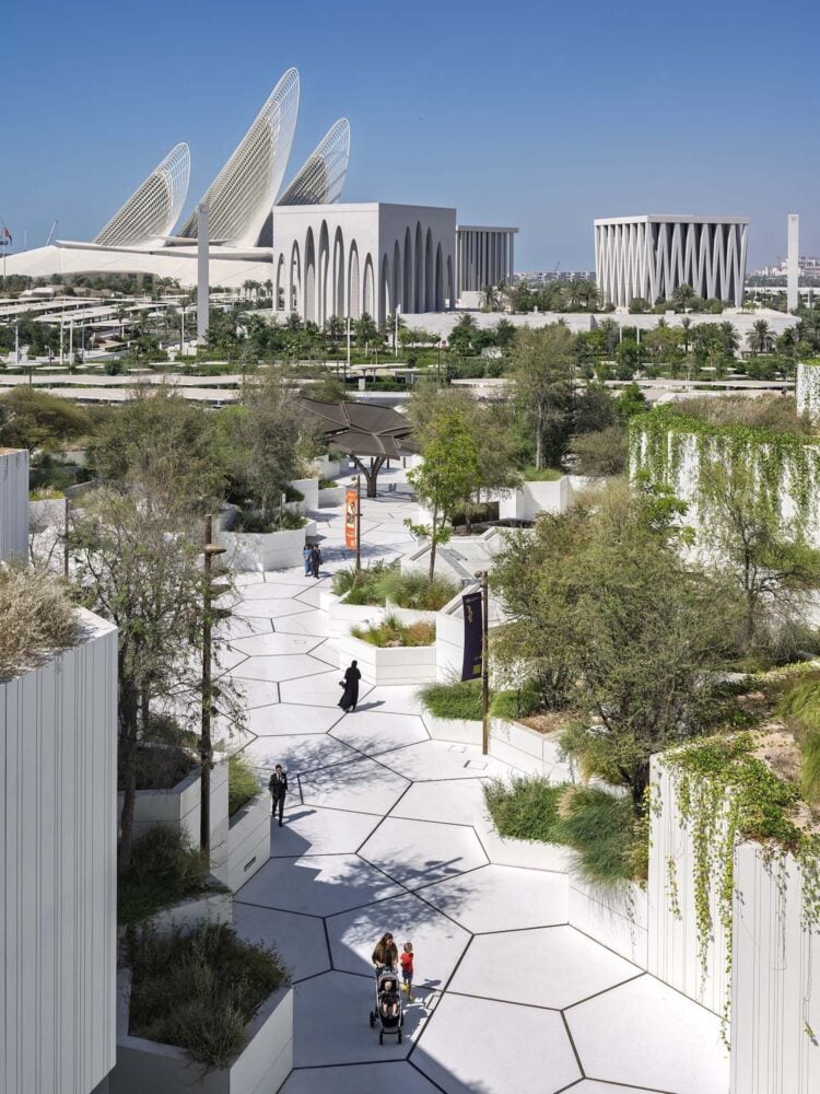 Museo de Historia Natural, Mecanoo, Abu Dabi