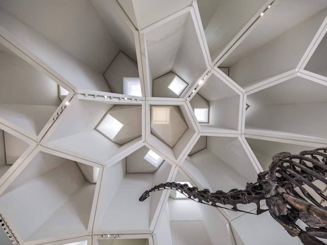 Museo de Historia Natural, Mecanoo, Abu Dabi