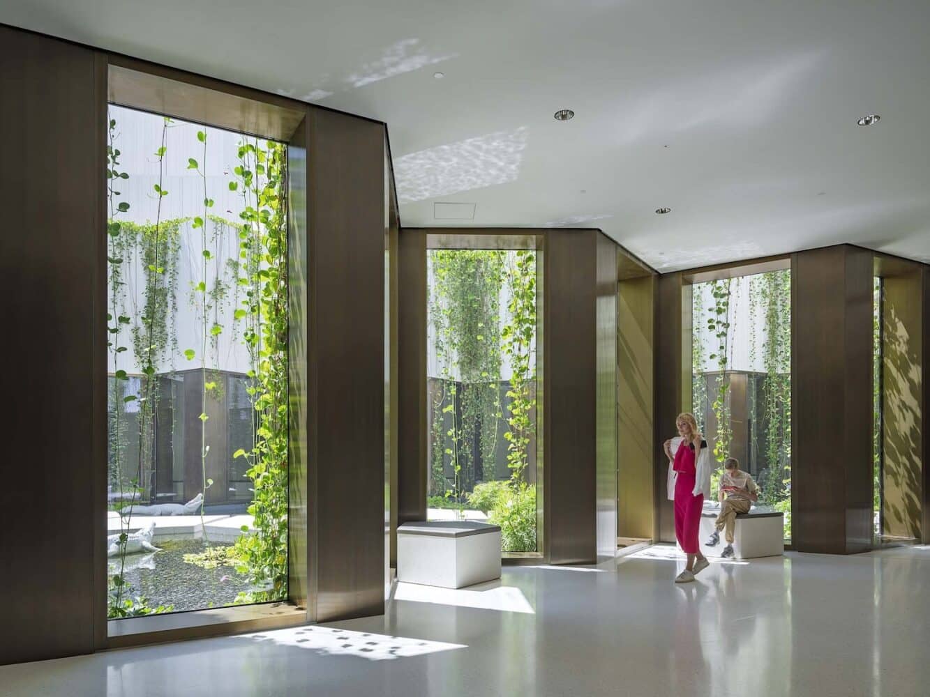 Museo de Historia Natural, Mecanoo, Abu Dabi