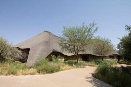 Emiratos Árabes, criaturas africanas