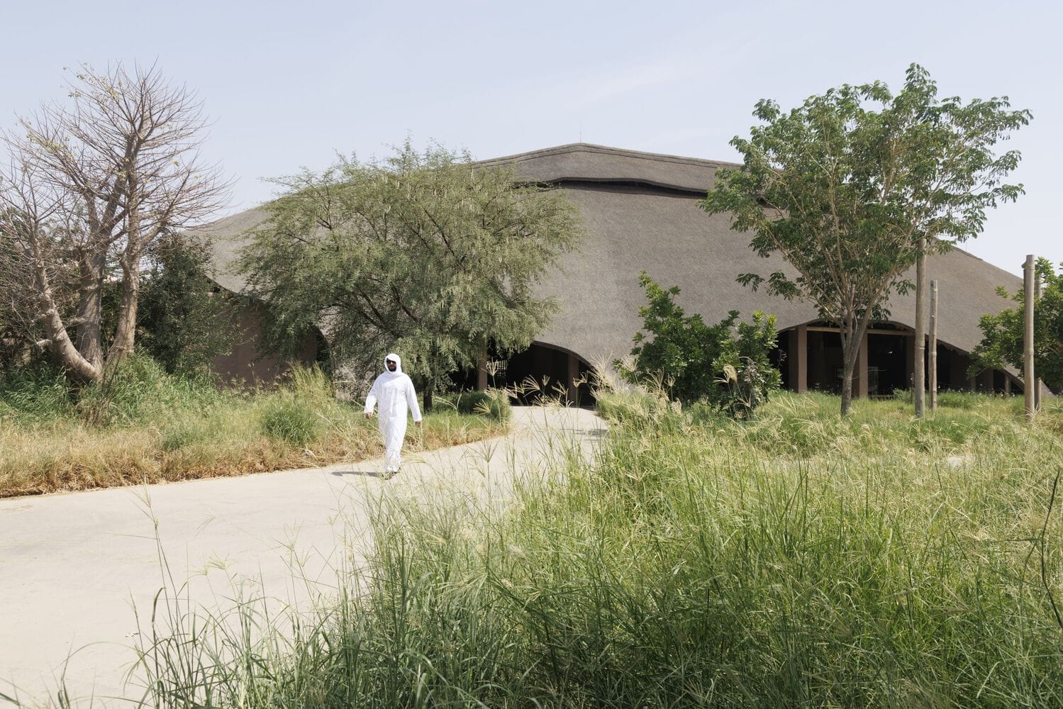Emiratos Árabes, criaturas africanas